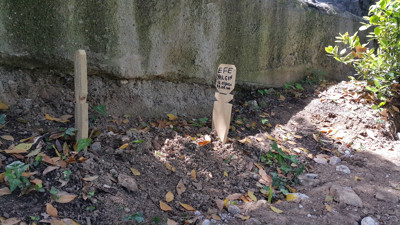 Bebek mezarı bilmecesi