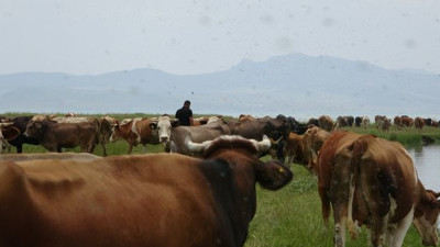 6 bin lira maaşı var ama çalışacak kimse yok
