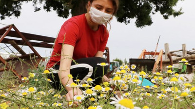 Türkiye'de üretiliyor: Litresi 40 bin lira
