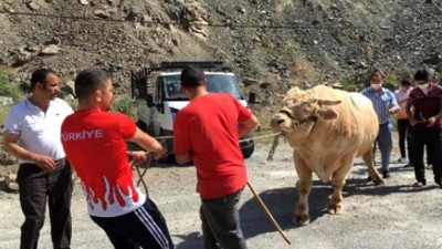 Sonunda satıldı: Tam 60 bin lira