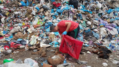 Düzce'de hayvanlar, zehirlenmiş halde bulundu