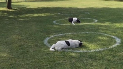 Fotoğraflar bunlar, başlığı size bırakıyoruz: En iyi yorum yapanın adın habere yazacağız