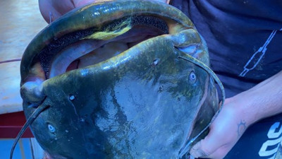 Gölde yakaladı, 21 bin liraya sattı