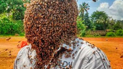 Rekor kırmak için kafasına 60 bin arı topladı