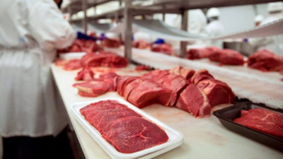 Almanya'da flaş olay: Et fabrikasında 1029 işçide korona virüs çıktı