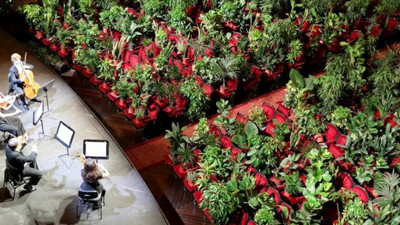 Karantinadan sonra kapılarını açan Barcelona operası ilk konserini bitkilere verdi