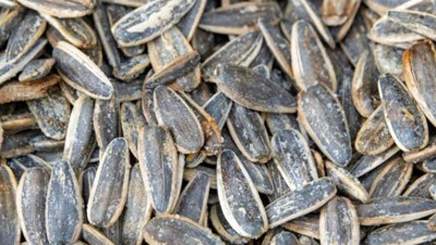 Uzmanlar Uyardı: Kansere Zemin Hazırlayabilir