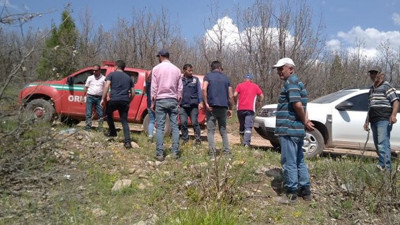 Bir kentin kabusu oldu: Neredeyse evleri istila edecekler