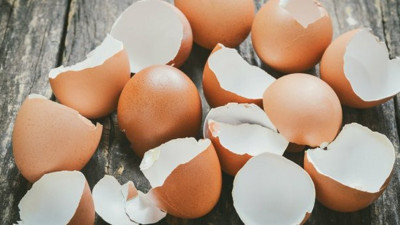 Yumurtanın inanılmaz faydası! Kabuğunu sakın atmayın...