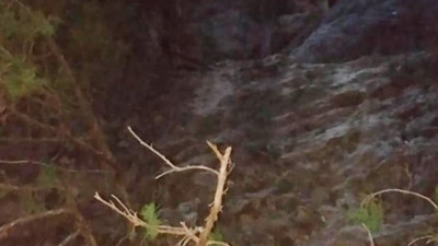 Define avcısı dinamit kurbanı