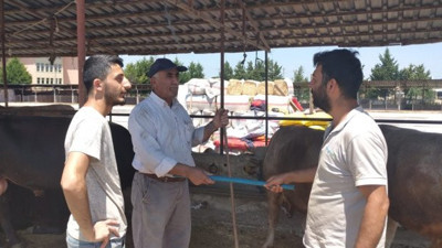 Korona virüs günlerinde kurban pazarlığı