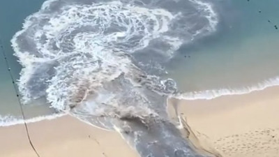 Turizm cennetinde dehşete düşüren görüntü