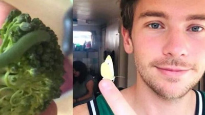 Dünyayı böyle insanlar kurtaracak, sebzeden çıkan tırtılları atmadı besledi büyüttü