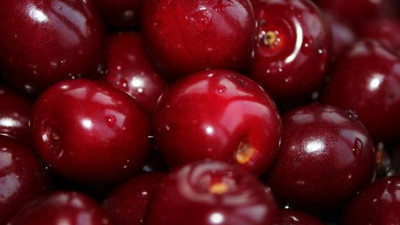 Günde 2 avuç şifa deposu! Her derde deva