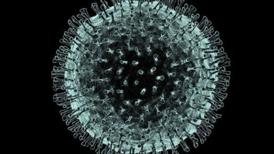 DSÖ açıkladı: 500 binden fazla insanın ölümü engellenebilir miydi