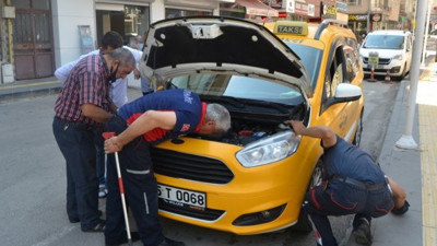 Yavru kedi araba canavarı çıktı, baş edilemeyince hapse yollandı