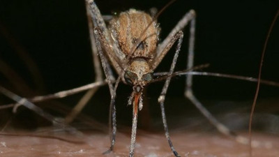 Üstesinden gelemezlerse binlerce insan ölecek: Tarihin en büyük salgınına hazırlanıyorlar