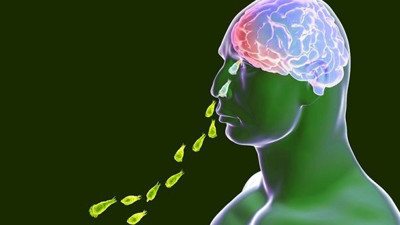 Burundan giriyor insanın beynini yiyor