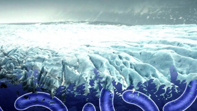 Yıllar sonra yeniden gündeme geldi! Buzullar eriyor sonumuz geliyor