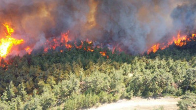 Çanakkale yanıyor! Dumanlar her yeri kapladı… Alev alev… Korkutan gelişme