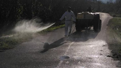 Kurban Bayramı öncesi korkutan haber: 14 büyükbaş peş peşe öldü, mera karantinaya alındı