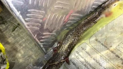 Hız sınırını aştı, polis durdurdu ama... Öyle bir mazireti vardı ki