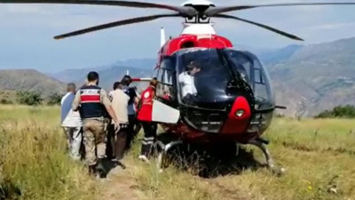 Piknikçilerin üzerine ağaç devrildi