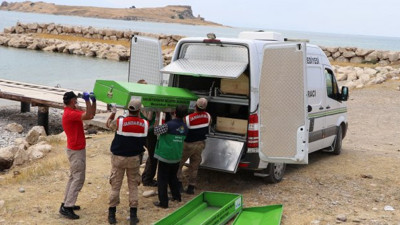 Tekne faciasında cesedine ulaşılanların sayısı 19 oldu! Adli Tıp morgu doldu hastanelerde yer aranıyor