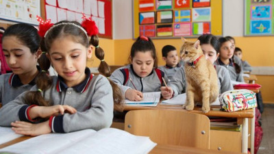 Milli Eğitim Bakanlığı’nın masasındaydı: Bilim Kurulu üyesi açıkladı, korona virüs eğitim sistemini değiştiriyor