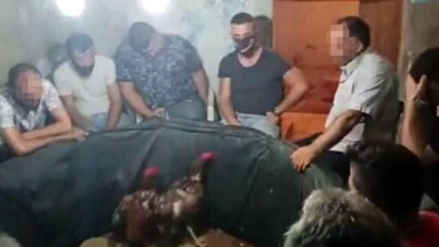 Horoz dövüşü pahalıya patladı