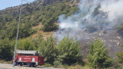 Aydın'da yine orman yangını