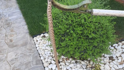 Ayakkabılığa giren yılanı itfaiye ekipleri yakaladı