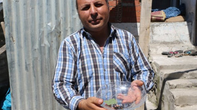 Önce eşek arısı sandılar gerçeği sonradan anladılar