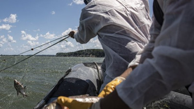 Terkos Gölü'nde kaçak avcılık denetimi! Ağlar balıkla doldu