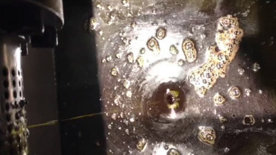 Yıldızlı şefler özel yemeklerinde kullanıyor! C vitamininden 20, E'den 50 kat daha güçlü