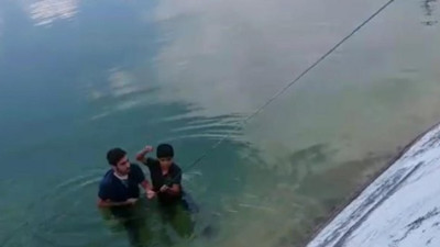 Gölette ölüm kalım savaşı