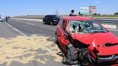 Soyadı arıcı olan şoför arıdan korkunca kaza yaptı