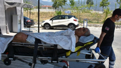 Köyceğiz'de pitpull dehşeti