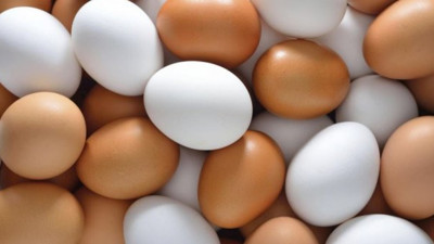 İşte yumurta kolisindeki 0-1-2-3 rakamlarının anlamı