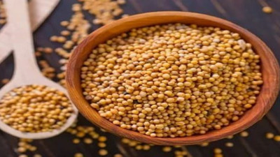 Metabolizmayı canlandırarak vücutta yağ bırakmayan gıdalar