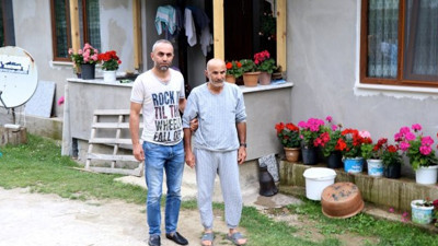 Düzce'de arılar dehşet saçtı!