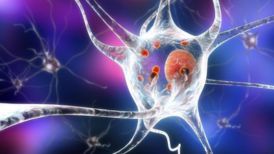 2040'a kadar 15 milyona ulaşması bekleniyor: Korkutan açıklama