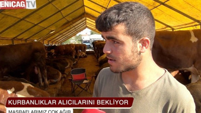 Kurbanlık satanlara bir dokun bin ‘ah’ işit