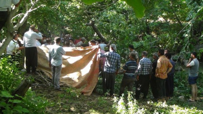 Kestiği ağacın altında kalan kişi öldü