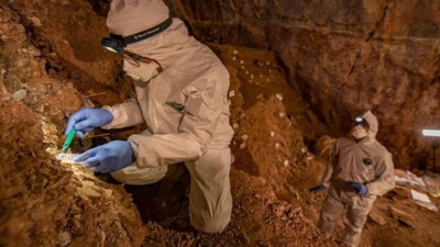 Arkeologları şaşkına çeviren kazı! Amerika'da 33 bin yıllık insan kanıtları bulundu