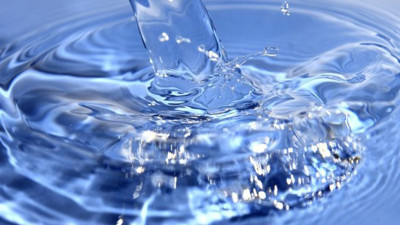 Niksar'da çıkıyor Avrupa'da tüketiliyor