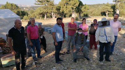 Arılara sinek ilacı sıkıp, balları çaldılar