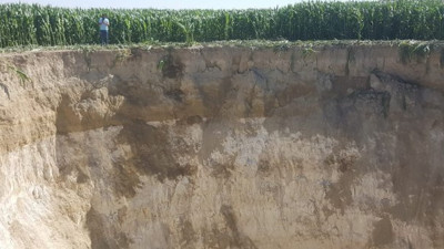 Tarlasında gördü, şaşkına döndü! O kadar büyüktü ki gözleri faltaşı gibi açıldı