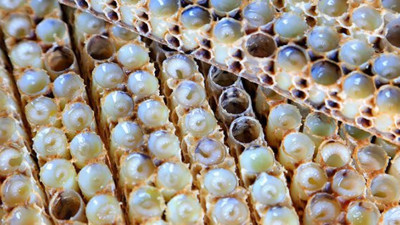 Kilosu 8 bin lira, talebe yetişemiyor