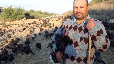 "Oooooooo" diye bağırması yetiyor! Hindilerle konuşun adam